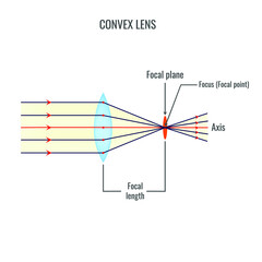 Convex lens vector illustration diagrams - obrazy, fototapety, plakaty