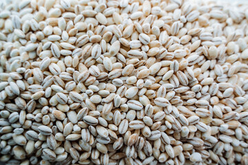 Pearl barley top view. White cereal. Pearl barley grains.