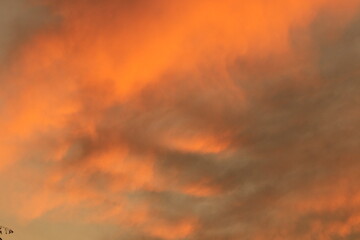 Orange light of Sunrise ,silhouette and clouds sky in the early morning