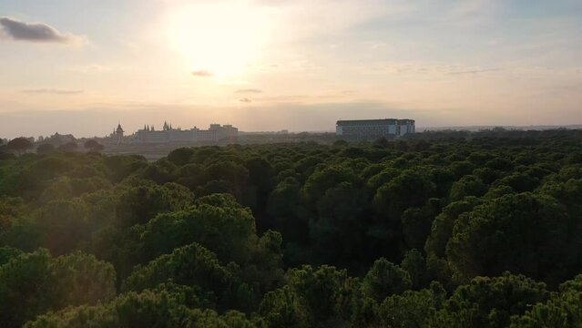 Aerial view Antalya Manavgat hotels and forest Turkey