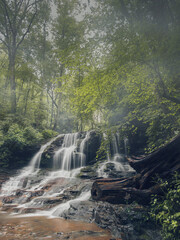 Obraz premium waterfall in the forest