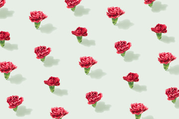 Red Dianthus flowers arranged on a pastel green background. Pinks pattern floral backdrop
