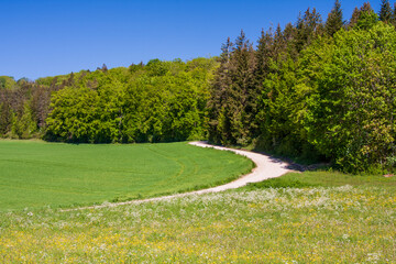 Blick ins Warmtal bei Riedlingen
