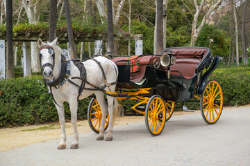 Fototapeta na wymiar A horse carriage for tourists to do sight seeing