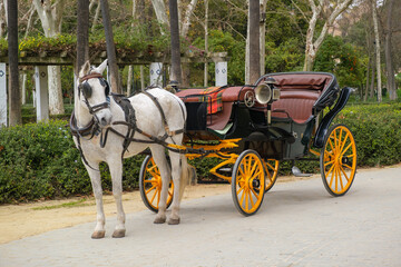 A horse carriage for tourists to do sight seeing