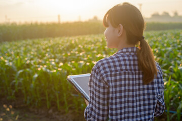 Young female smart farmer with tablet on field,High technology innovations and smart farming