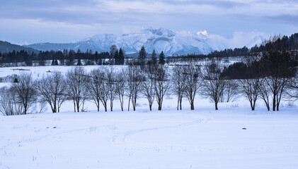 View of the Tatra Mountains from the Pieniny Mountains