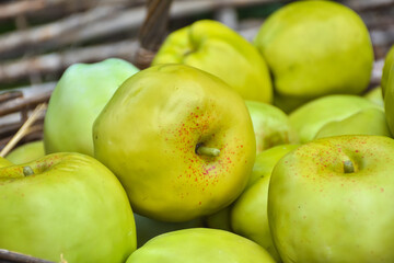 some green apples in basket, ripe apples closeup