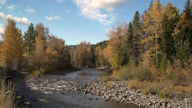 Coldwater River BC Autumn 4K UHD. Autumn colors along the Coldwater River near Merritt, BC. 4K UHD.
