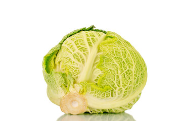 Fototapeta premium One cabbage of organic Savoy cabbage, macro, isolated on white.