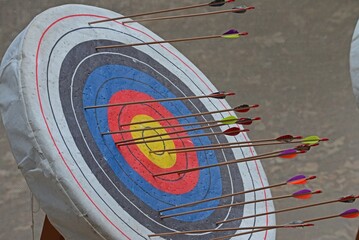 Practice arrows in target, Malibu, California, USA