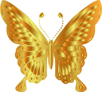 Gold Butterfly Images – Browse 175 Stock Photos, Vectors, and Video
