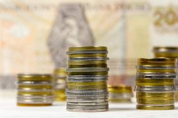 Polish coins and banknotes, PLN money