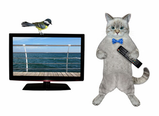 Obraz premium An ashen cat in a bow tie with a tv remote control is near a television set. White background. Isolated.