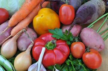 Fototapeta na wymiar Vegetable borscht set