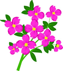Obraz premium spring flowers tulips isolated on white background.branch with purple Orchid flowers