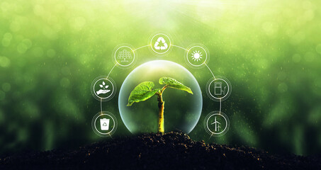 Sources for renewable, sustainable development. Environment and ecology concept.Green plant on...