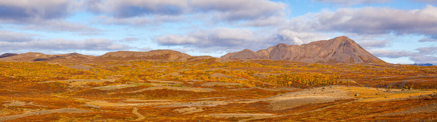 Panorama of a landscape with volcanoes and lava fields in autumn colors in Iceland