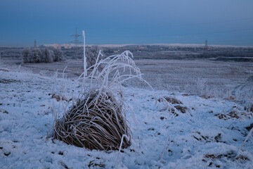 Winter landscape with frozen grass in the foreground. Cambuslang, Glasgow, Scotland