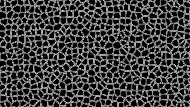Abstract digital animation with fashion points