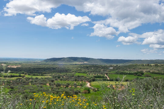 LLanos De Prados Y Cultivos En El Somontano, Huesca.