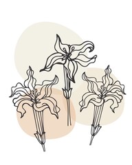 Hand drawn vector illustration of coffee lowers. Suit for poster, cover and card design, marketing material, print. Pastel colours and abstract shapes background. Vector illustration