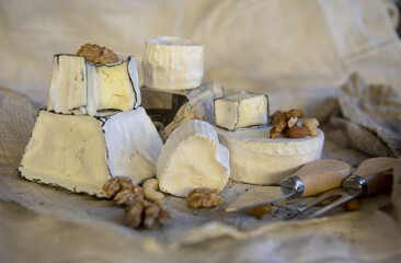 Various types of cheese with white mold on packaging paper. Home production, natural products.