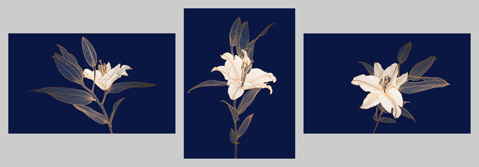 A set of frames with golden metallic lily flowers linear drawings with white flower heads on deep blue. Design for print, poster, invitation, postcard and packaging. - obrazy, fototapety, plakaty
