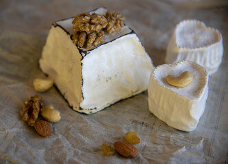 Various types of cheese with white mold on packaging paper. Home production, natural products.