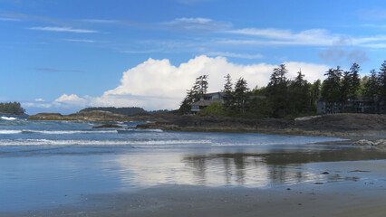 Tofino landscape in a sunny day