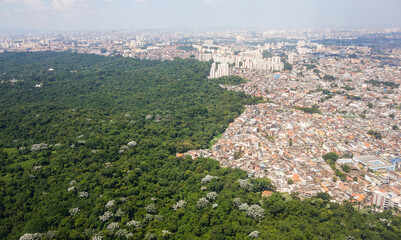aerial view over Sao Paulo cityscape, buildings invading the forest
