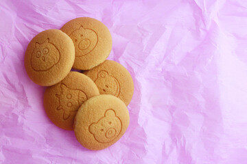 Tasty good biscuits on color background