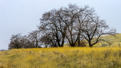Columbia River Gorge National Scenic Area, Oregon State and Washington State