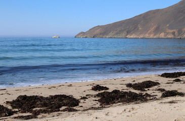 A strip of beach with a mountain