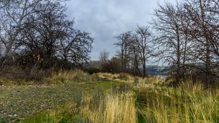 Columbia River Gorge National Scenic Area, Oregon State and Washington State
