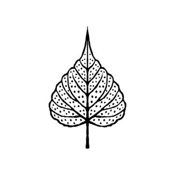 Hand drawn leaf of bodhi