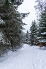 La neige à la montagne
