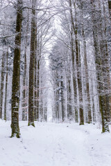 Fototapeta premium La neige à la montagne