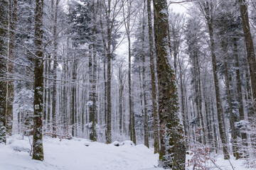 La neige &agrave; la montagne