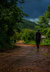 walking in the woods