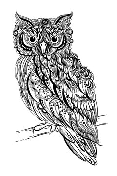 Owl bird coloring book. Anti-stress illustration. Coloring for adult in zentangle style