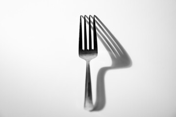 Fork with shadows in various angles