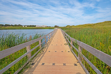 Fototapeta na wymiar Boardwalk Across a Wetland Pond