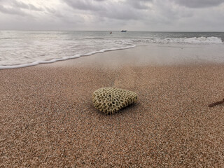sea and beach