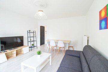 Scandinavian style living room. Gray sofa (France: 14.04.20) Tv, table