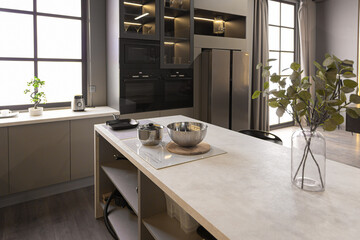 stylish luxury kitchen interior in an ultra-modern spacious apartment in dark colors with super...