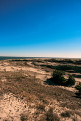 sand dunes in the morning