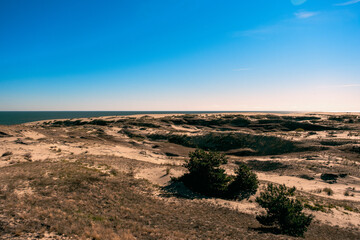 sand dunes in the morning
