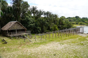 Fototapeta na wymiar Simple wooden huts covered with palm leaves in a small settlement in the Amazon rainforest. Construction of a footbridge, because water levels here fluctuate by up to 8m during year. Amazonas, Brazil