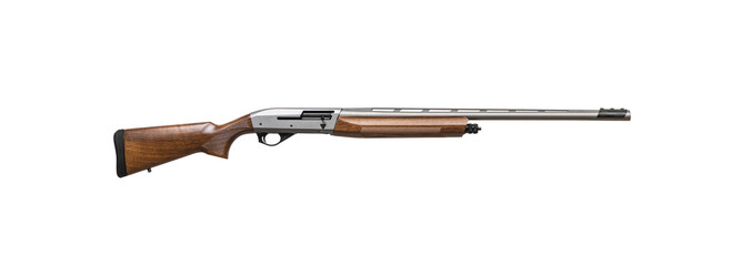 A modern semi-automatic shotgun with a wooden stock and a silver barrel. Weapons for hunting and sports. Isolate on a white back